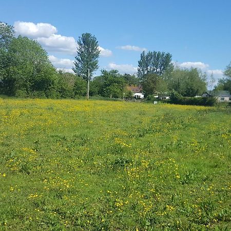 فيلا 1 Bed In Taunton 75135 Isle Brewers المظهر الخارجي الصورة