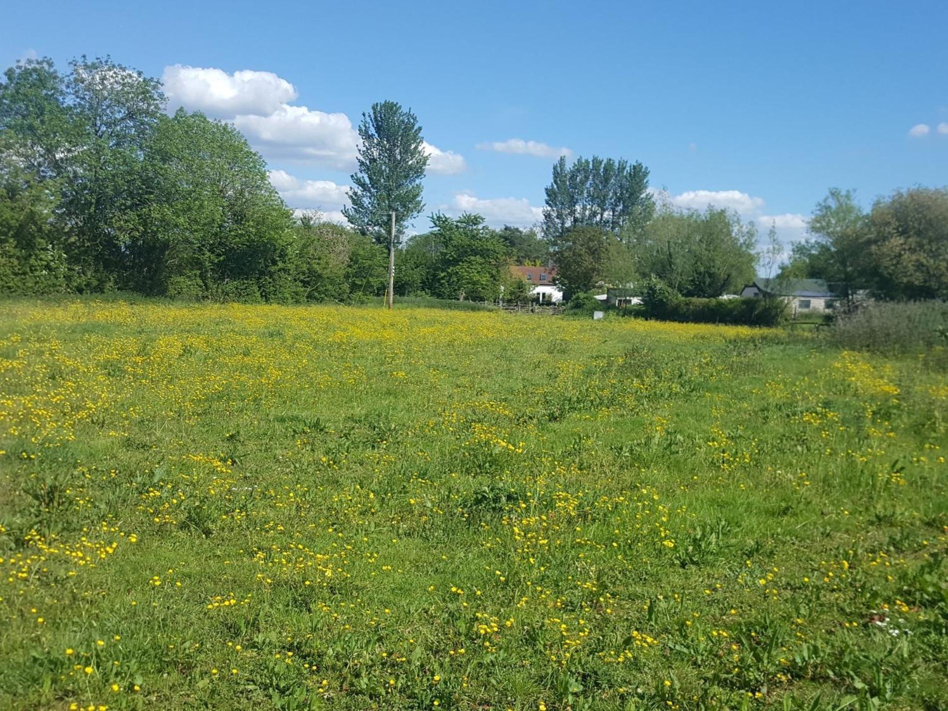 فيلا 1 Bed In Taunton 75135 Isle Brewers المظهر الخارجي الصورة